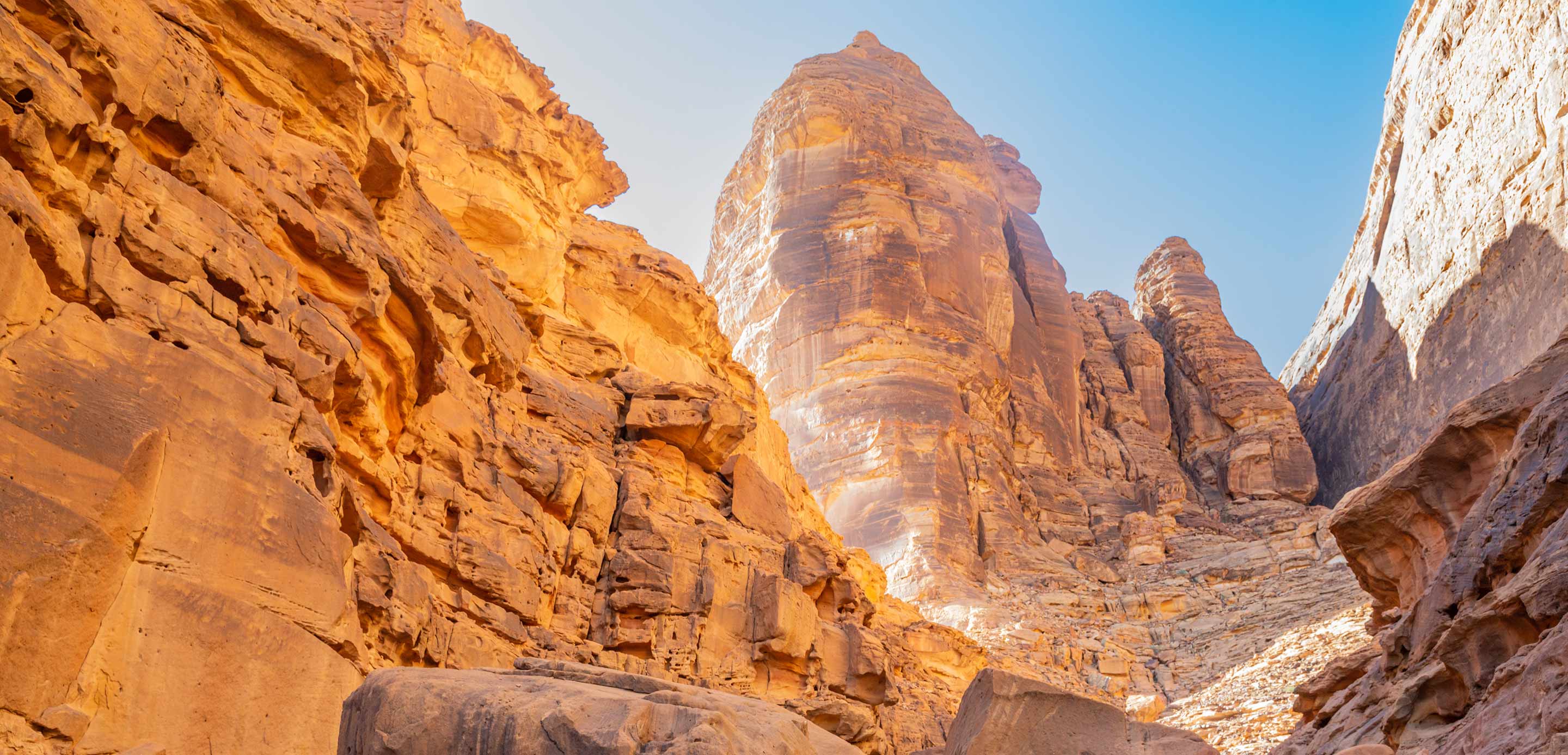 Announcement of Arabian Mills for Food Products Company’s intention to proceed with an initial public offering and listing on th Announcement of Arabian Mills for Food Products Company’s intention to proceed with an initial public offering and listing on th