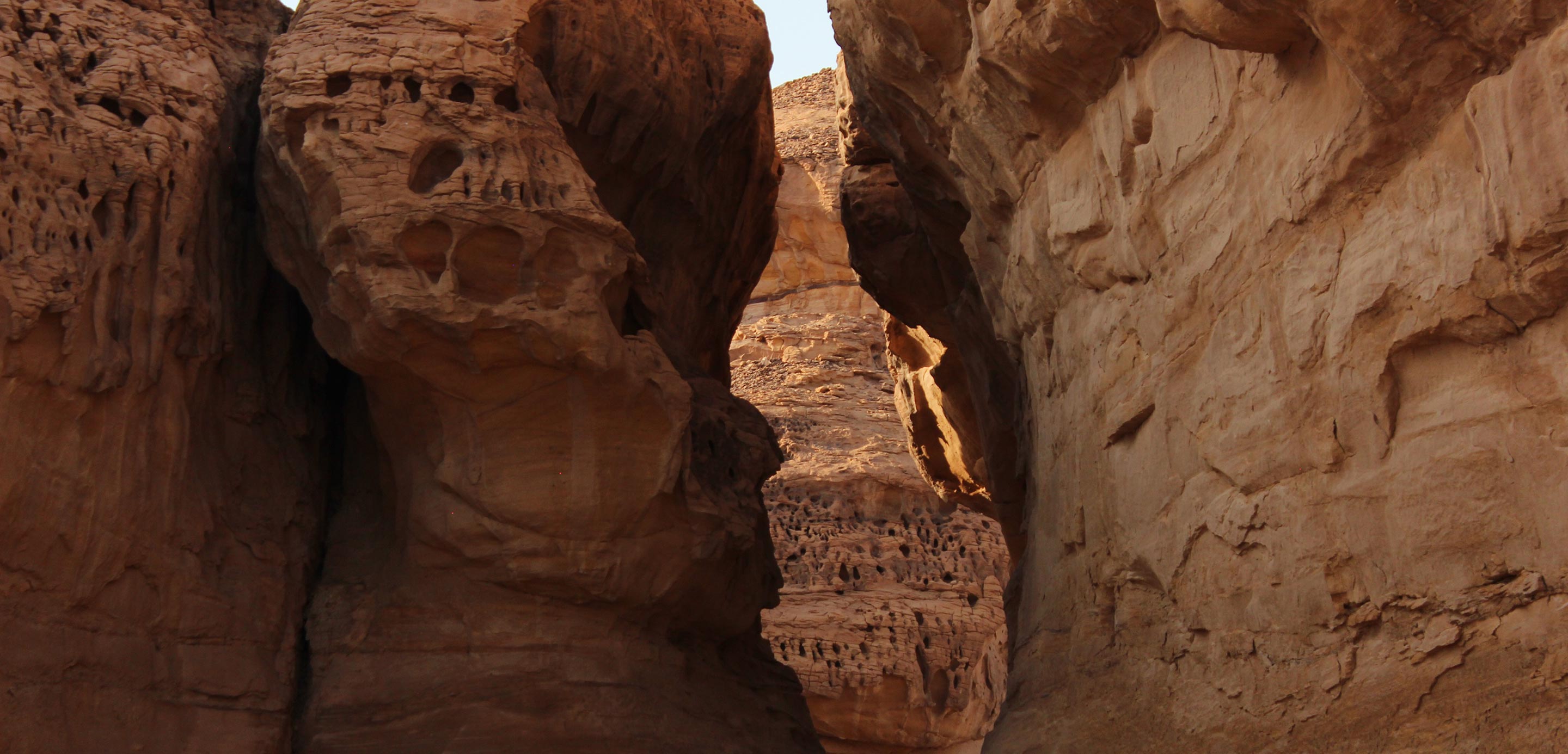 HSBC Saudi Arabia Announces the Price Range and Start of Institutional Book-building Period for the Initial Public Offering of United International Holding Company HSBC Saudi Arabia Announces the Price Range and Start of Institutional Book-building Period for the Initial Public Offering of United International Holding Company